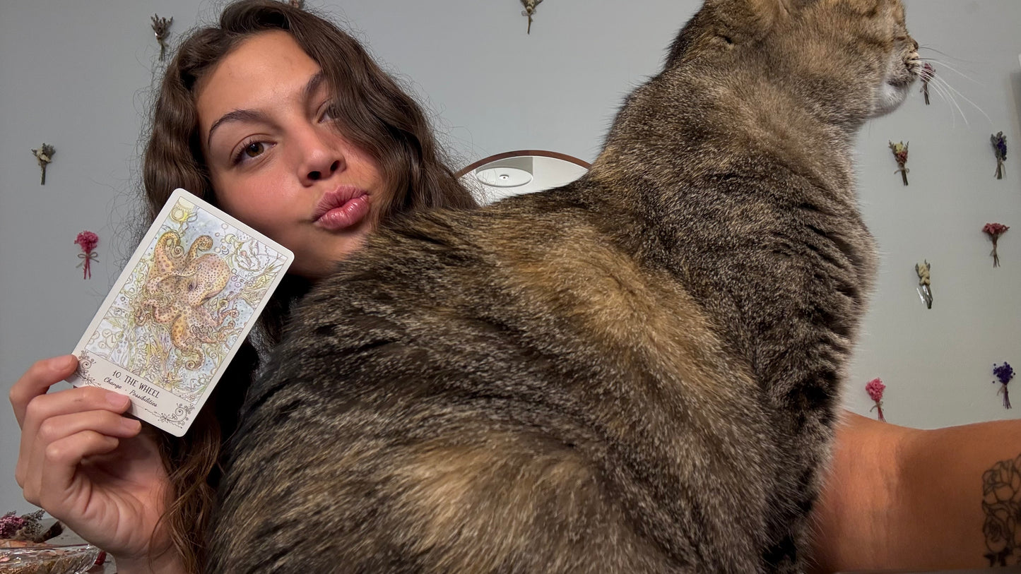Quantum Abundance Life Purpose Reading & Goddess Activation 🌈