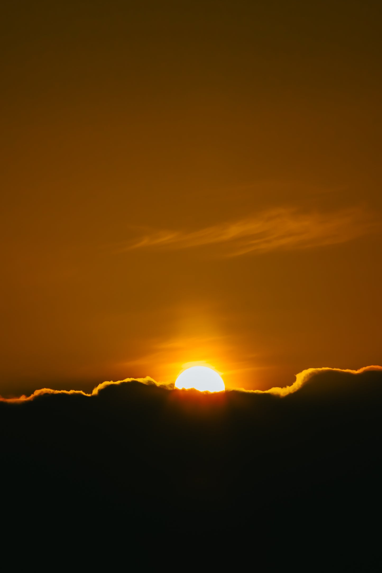 Reclaim Your Inner Technology: Breathwork Ceremony & Workshop (90 Minutes)