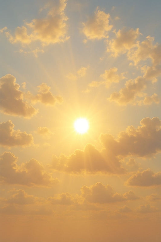 Career/Higher Purpose Guidance & Manifestation: 30 minute recorded video